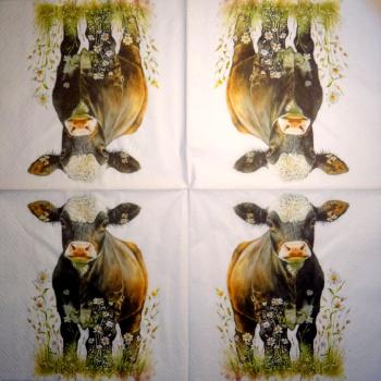 902 Cows - 3-ply - Specials